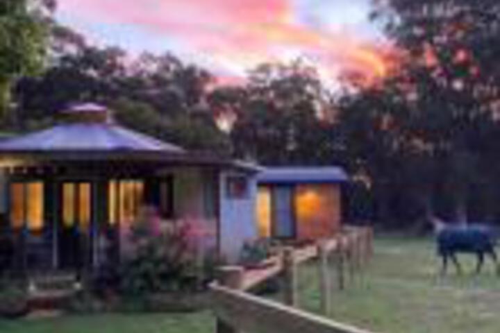 Maitland Accommodation