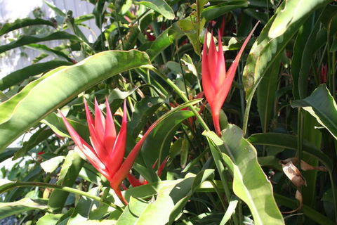 Scarborough Beach Break Holidays - Maitland Accommodation 2