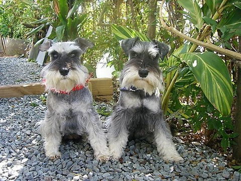 Scarborough Beach Break Holidays - Maitland Accommodation 1