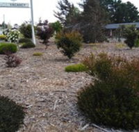 Altona Motel - Maitland Accommodation