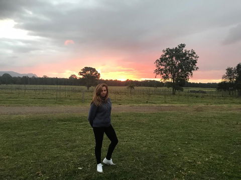 Lovedale Red Gum Cottage - Maitland Accommodation 6
