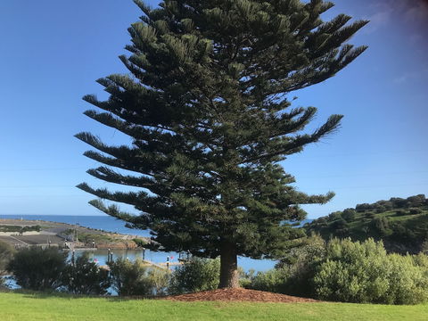 Penneshaw Oceanview Apartments - Maitland Accommodation 5