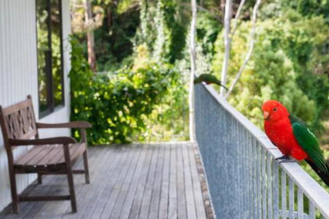 At Riverside - Maitland Accommodation 5