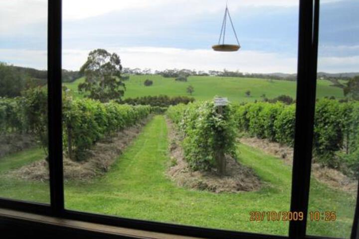Barwon Downs ACT Maitland Accommodation