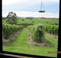 Pennyroyal Raspberry Farm  Cidery - Maitland Accommodation