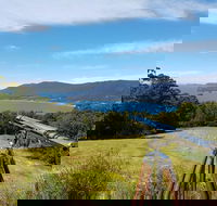Eaglehawk Rainforest Retreat - Maitland Accommodation