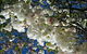 Mountain Escape - thumb 3