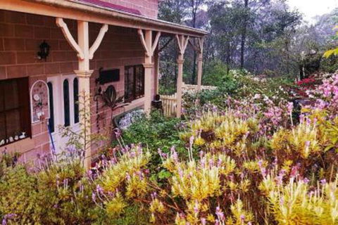 Mountain Escape - Maitland Accommodation 6