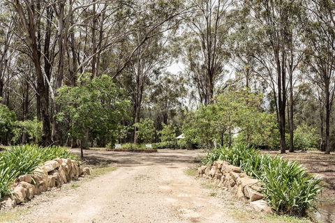 The Woods At Pokolbin - Maitland Accommodation 5