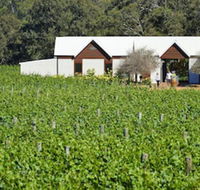 Vineyard Cottage at Upper Reach Winery - Maitland Accommodation