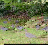 Leura Fairways West - Maitland Accommodation