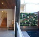 Stella on Stevens - Maitland Accommodation