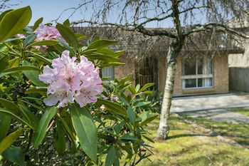 Wentworth Rose - Maitland Accommodation 0