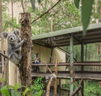 Springwood Meditation Vacation Center - Maitland Accommodation