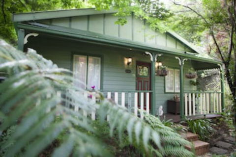 Strawberry Patch - Maitland Accommodation 0
