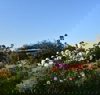 Labertouche Gypsy Creek Winery - Maitland Accommodation