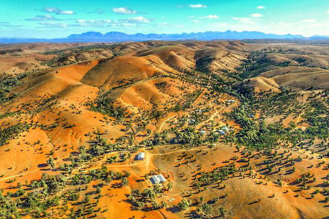 Skytrek Willow Springs Station - Maitland Accommodation 2