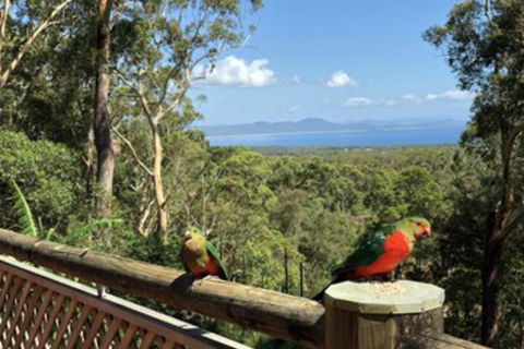 Grand Bali Retreat At Arakoon - Maitland Accommodation 0