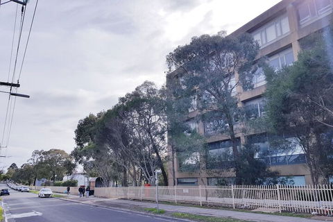 Clayton Apartment - Maitland Accommodation 4