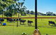 Curra Homestead Maleny - thumb 0