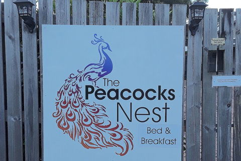 The Peacocks Nest - Maitland Accommodation 1