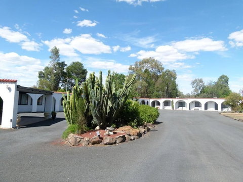 Azalea Motel - Maitland Accommodation 0