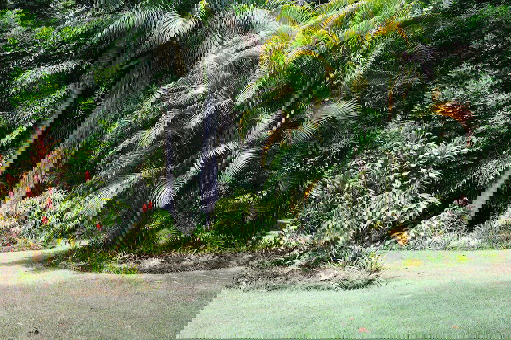 The Pocket NSW Maitland Accommodation