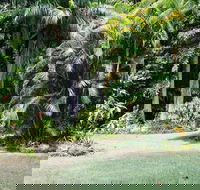 Sanctuary in The Pocket - Maitland Accommodation