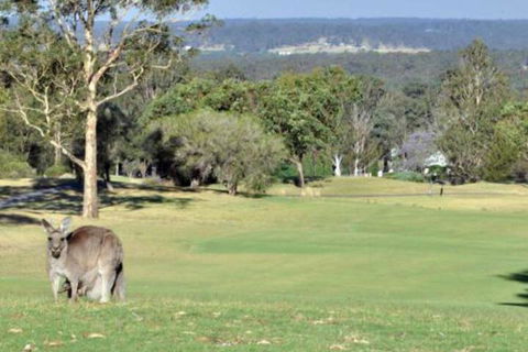 Villa Beaujolais Located Within Cypress Lakes - Maitland Accommodation 5