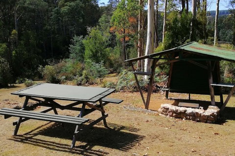 Minnow Cabins - Maitland Accommodation 6