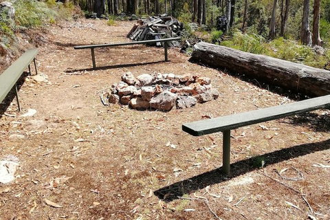 Minnow Cabins - Maitland Accommodation 5