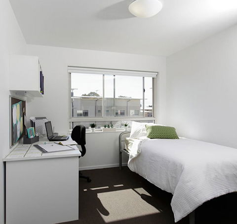 Unilodge At UC Short Stays - Maitland Accommodation 4