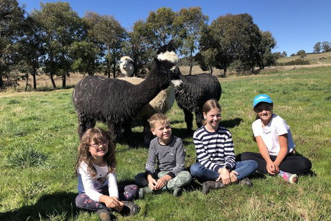 High Country Trail Rides & Farm Stay - Maitland Accommodation 3