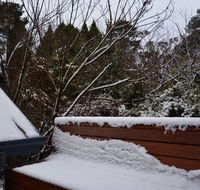 Misty Pines - Maitland Accommodation
