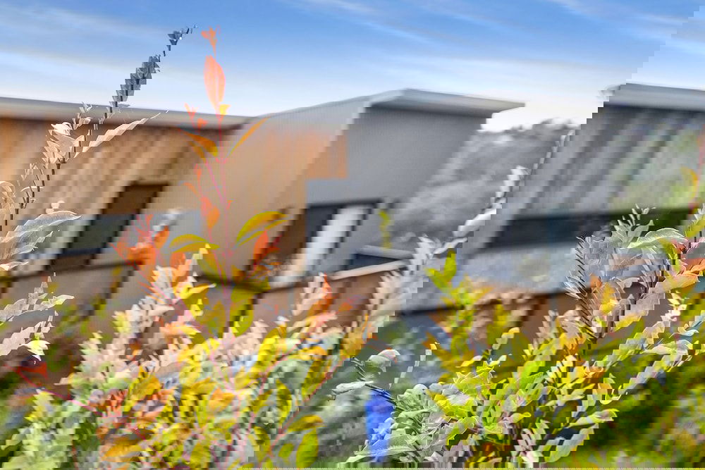 Katoomba NSW Maitland Accommodation
