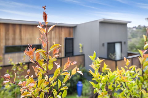 Pretty Haven - Maitland Accommodation 0