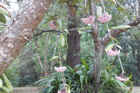 Crabbes Creek Cottages - Maitland Accommodation 5