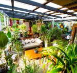 Jaspers Apartments - Maitland Accommodation