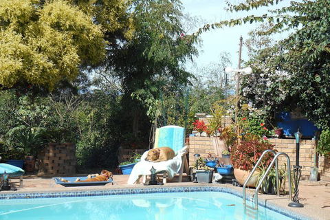 Pindari House - Maitland Accommodation 3