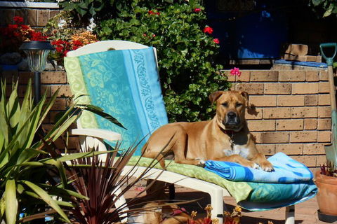 Pindari House - Maitland Accommodation 1