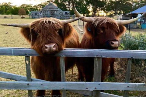 Straw House Farm B & B - Maitland Accommodation 4