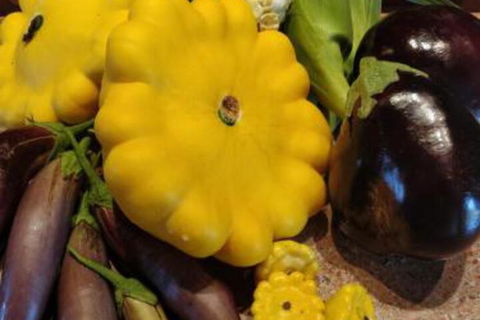 Straw House Farm B & B - Maitland Accommodation 6