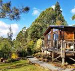 Southern Forest Accommodation - Maitland Accommodation