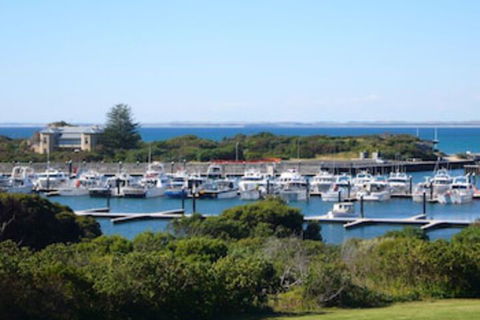 Harbour View Motel - Maitland Accommodation 0