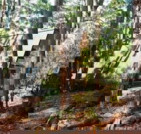 Green Leaves Cabin - Maitland Accommodation