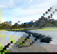 Amity Apartment Hotels