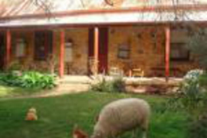 Mount Barker Junction SA Maitland Accommodation