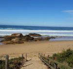 Bellbird Cottage B  B - Maitland Accommodation