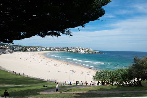 Bondi 38 Serviced Apartments - Maitland Accommodation 0