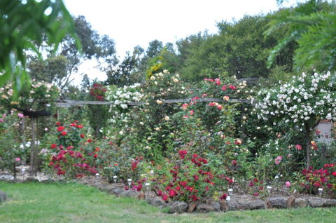 Fairy Wren Cottage Country To Coast Retreat - Maitland Accommodation 6